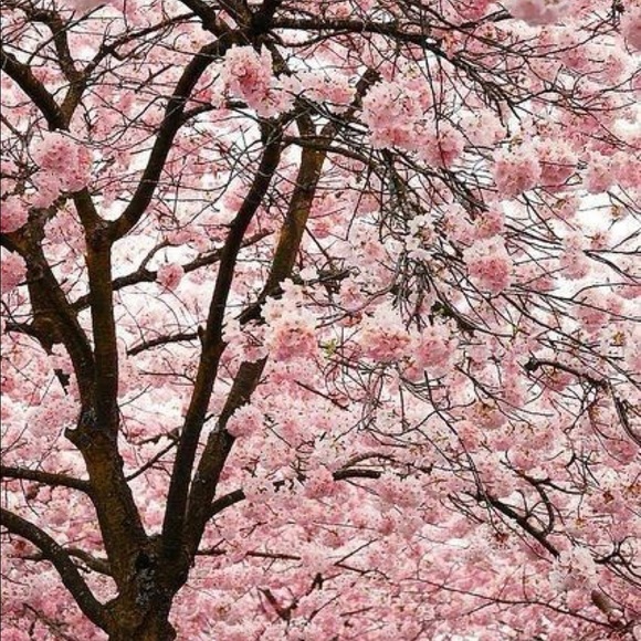 Sharing is caring ππ»πππthank you for sharing - Picture 2 of 2